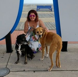 Meet your Posher, Lynn